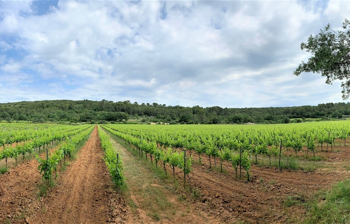 Visite et Dégustation au Domaine la Goujonne 1,00 €