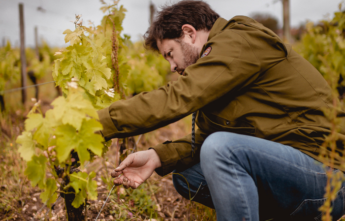 Visite au Château GOMBAUDE GUILLOT à Pomerol 33,13 $AU