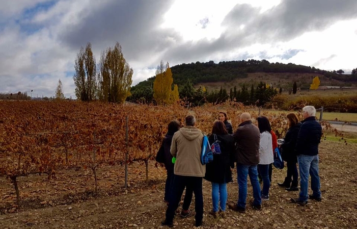 Bodega Sarmentero : visite thématique de la vigne au chai 12,00 €