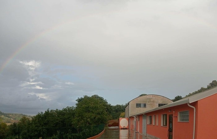 Visite et dégustations au Valle Martello 1,00 €