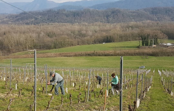 Visite et dégustations du Domaine De L'idylle 30,00 €