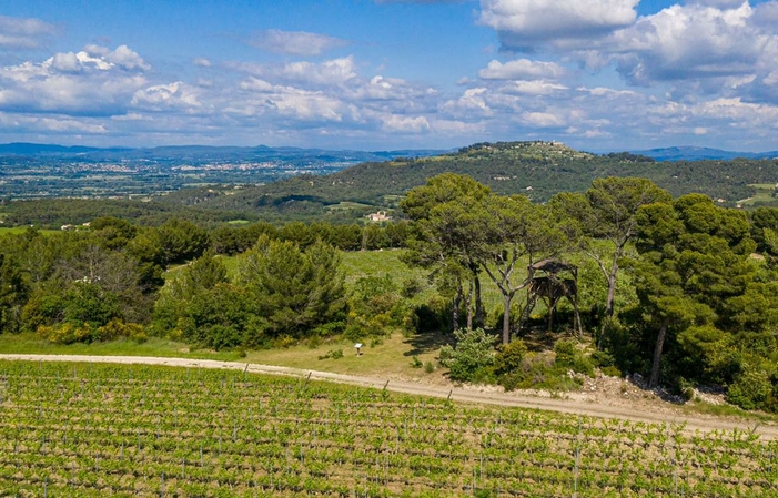 Visite et dégustation au Domaine Villa Baulieu 5,00 €