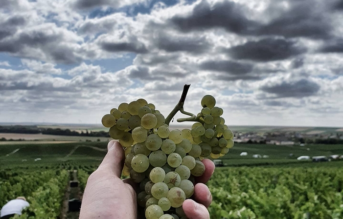 Visite Du Domaine Champagne Naveau 1,00 €