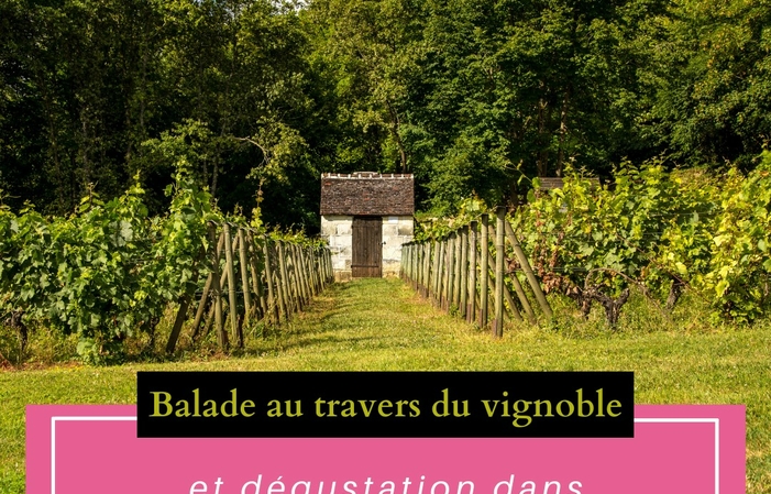 Visite et dégustations au Domaine du Grand Moulin 1,00 €