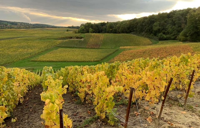 Visite Du Domaine Champagne Bruno Ploix 1,00 €