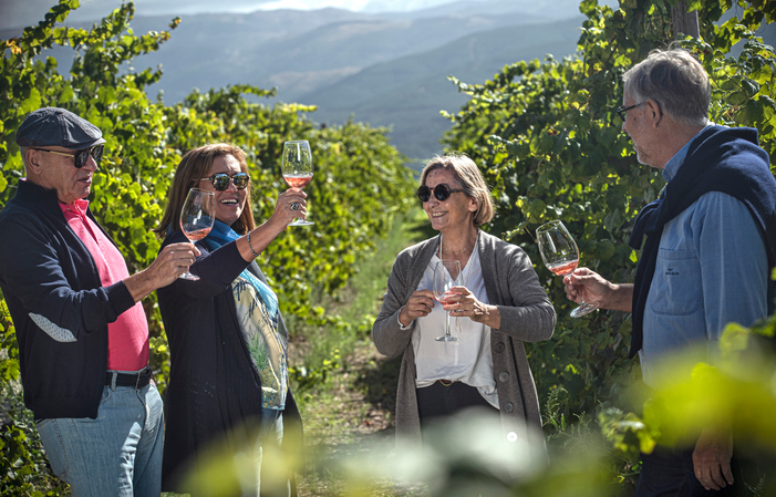 Visite guidée du vignobles suivi d'un pique-nique 46,00 €