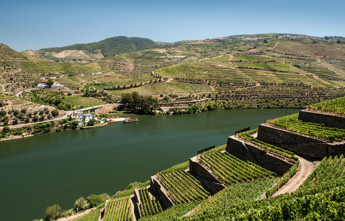 Détendez-vous Douro: Profitez de la vallée 100,00 €