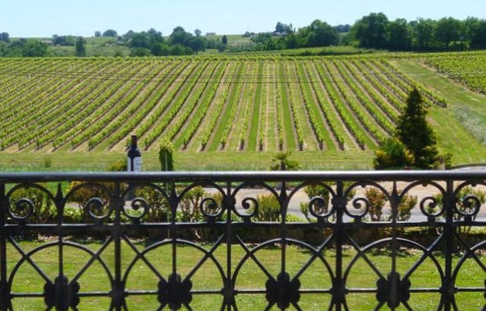 Visite et dégustation au Château Bégot 1,00 €