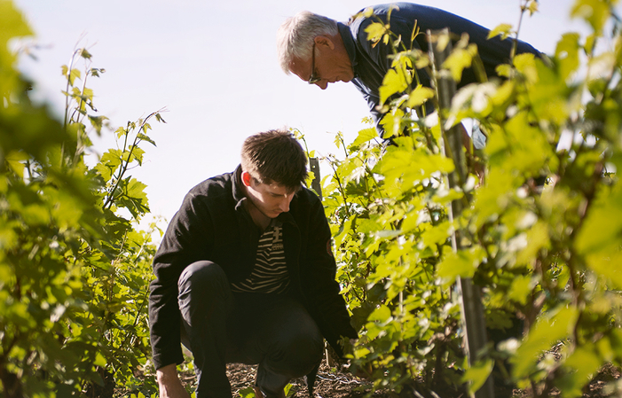 Visite de nos vignes bio en Agroforesterie et Dégustation 20,00 €