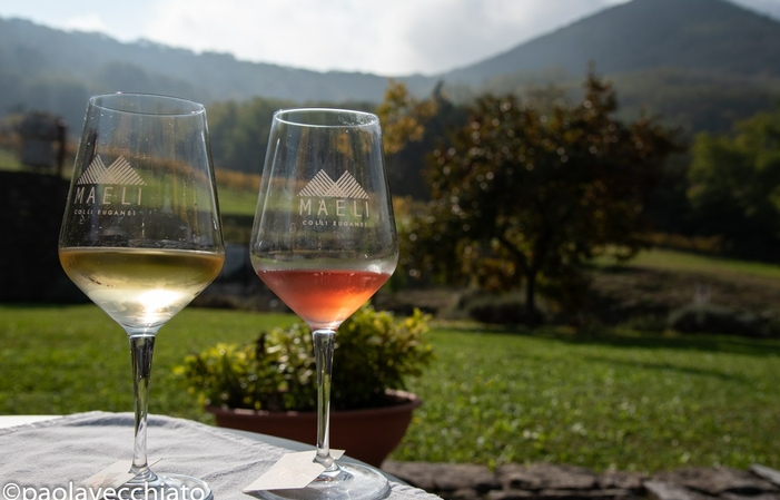 Bienvenue chez Maeli : visite et dégustation de 3 vins 15,00 €