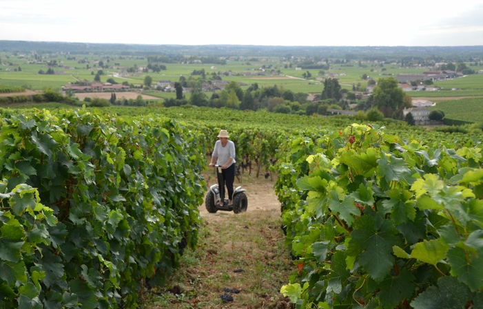 Visite Grands Vignobles, Château la Renommée 39,00 €