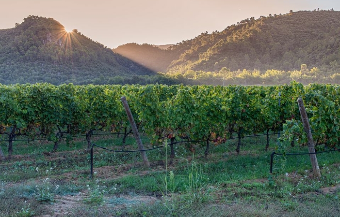 Visite et dégustaions au Château De L'escarelle 10,00 €
