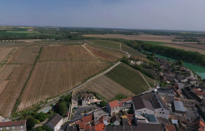 Visite et dégustations  du domaine  A La Francaise Provence 70,00 €