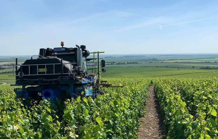 Visite Du Domaine Champagne Bruno Ploix 1,00 €