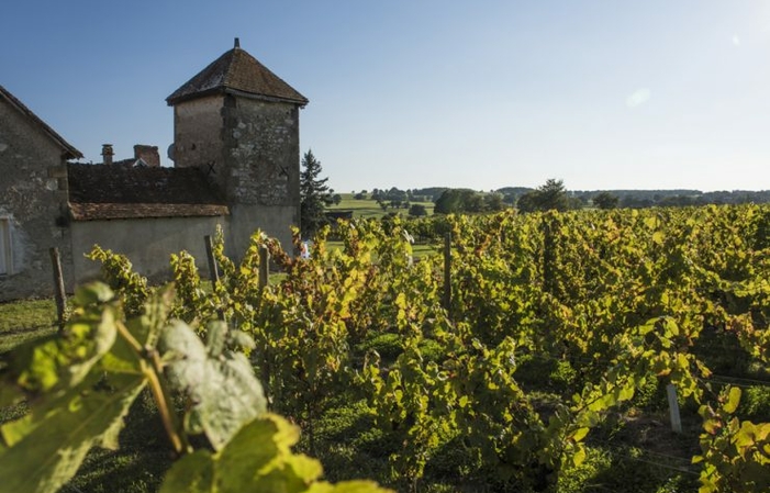 Visite Domaine de Bellevue à Saint Pourcain 5,00 €