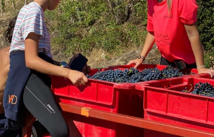 Visite et Degustation Du Domaine Du Tunnel 1,00 €