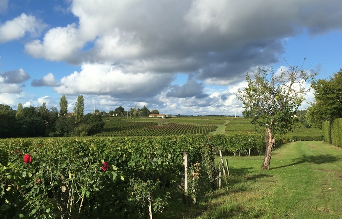 Visite et Dégustation au Château Puy Descazeau 1,00 €