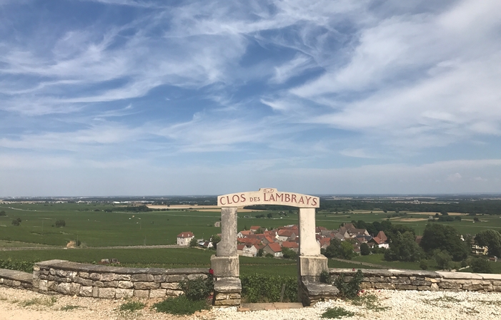 GROUP TOUR Route des vins : Côte de Nuits 2h30 49,00 €