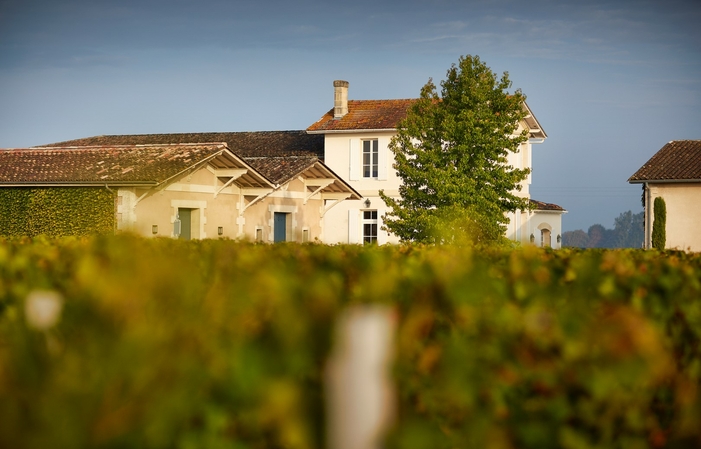 Visite chateau Chauvin, Saint Emilion Grand Cru 15,00 €