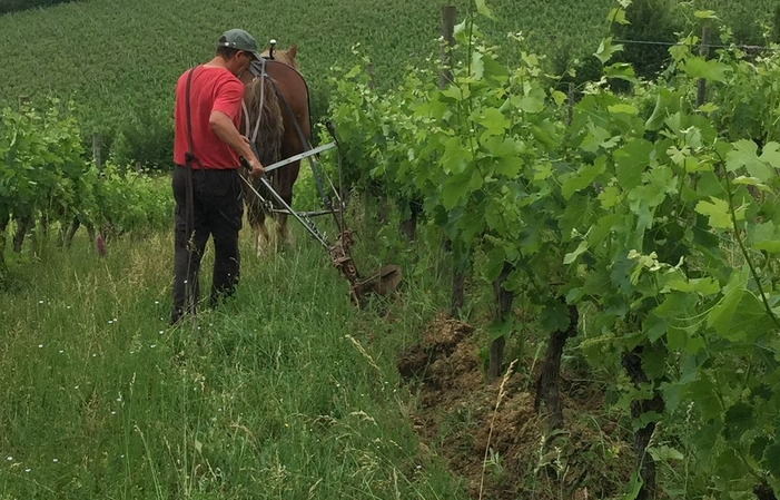 Visite domaine du Boiron 1,00 €