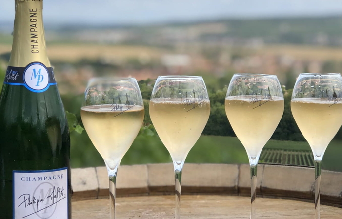 Visite du vignobles en 4x4 et dégustation de Champagne du domaine 30,00 €