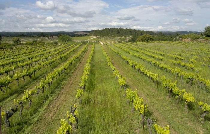 Visite et Dégustation au Clos du Marbrier 1,00 €