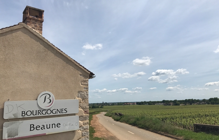 PRIVATE TOUR Côte de Beaune 358,00 €