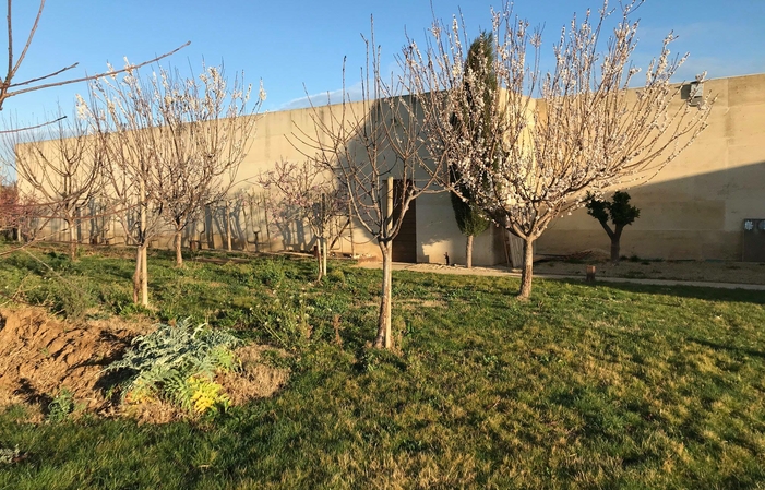 Visite et dégustations au Domaine Enclos de la Croix 46,00 €