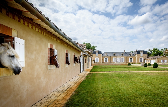 Visite et dégustation château de Rouillac 20,00 €