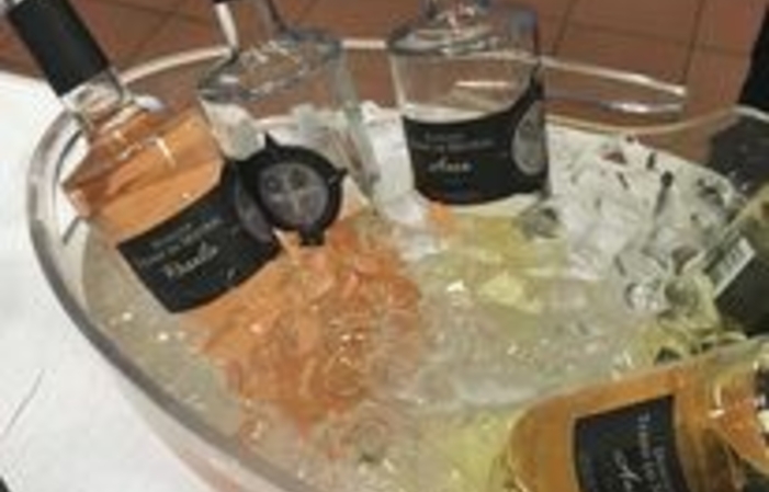 Visite et dégustations au Domaine Terre de Mistral 13,00 €