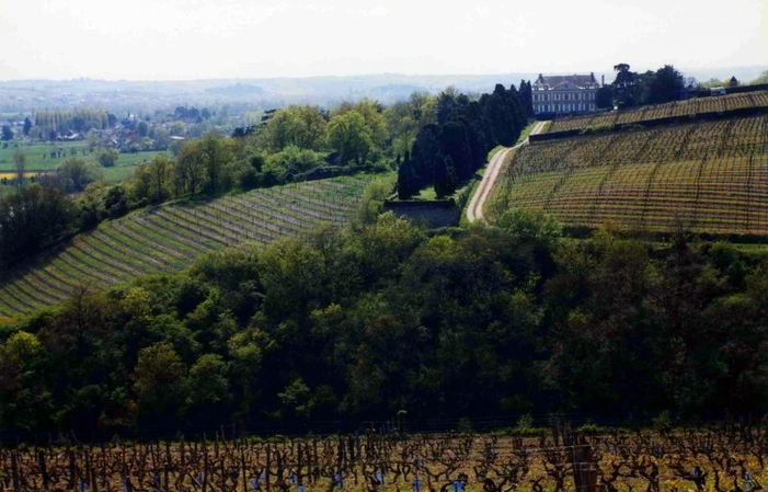 Visite Domaine de la Roche aux Moines: Coulée de Serrant 1,00 €