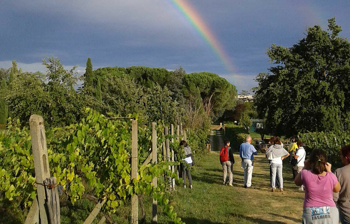 Tenuta Canto Alla Moraia: Visite de luxe du vignoble, dégustation de vins, déjeuner 45,00 €