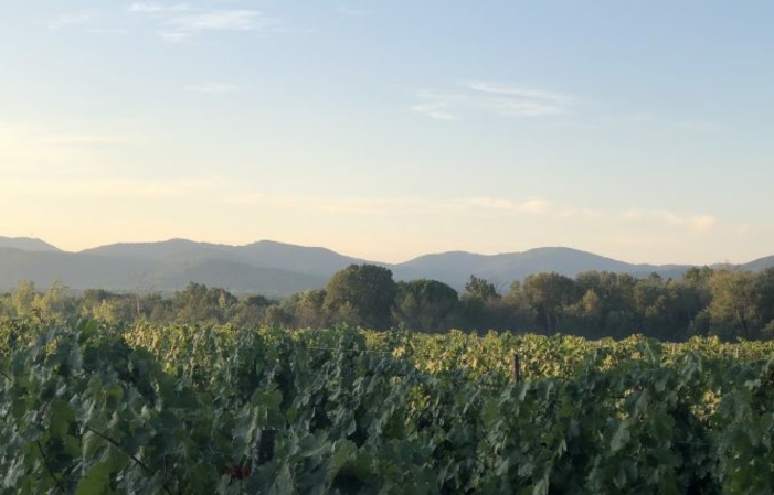 Visite et Dégustation au Domaine des Féraud 1,00 €