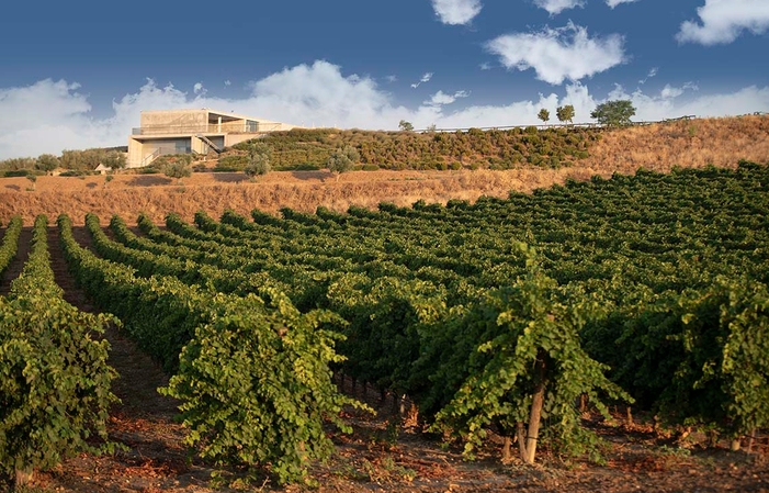 Dégustation Verticale de Finca Montepedroso (3 millésimes) 17,36 £GB