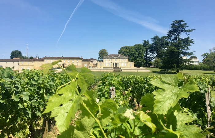 Visite du Château Haut-Piquat, Atelier dégustation 15,00 €