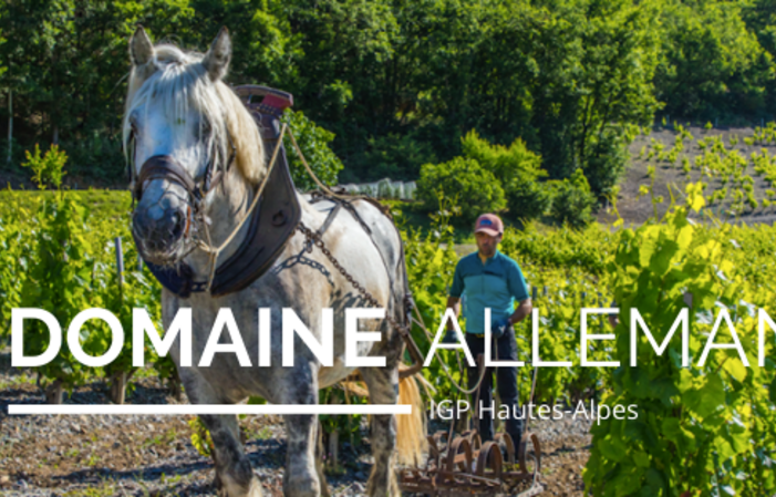 Visite Du Domaine Allemand 1,00 €