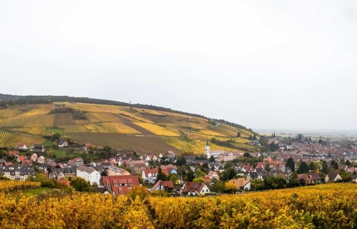 Visite Et Degustation Du Domaine Vincent Stoeffler 1,00 €