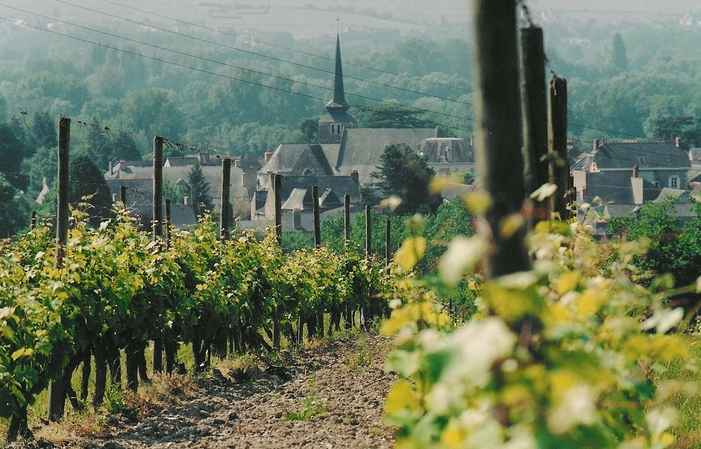 Visite Domaine du Closel : Escapade au Château des Vaults 29,00 €