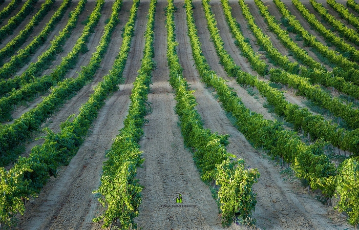 3 Vins et 3 Fromages - Finca Montepedroso 15,00 €