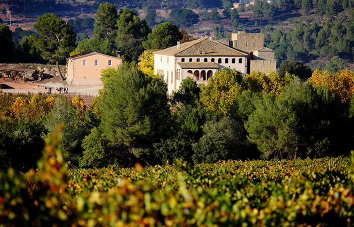 Visite de la cave et du Château et dégustation des vins et huile d'olive du domaine 15,00 €
