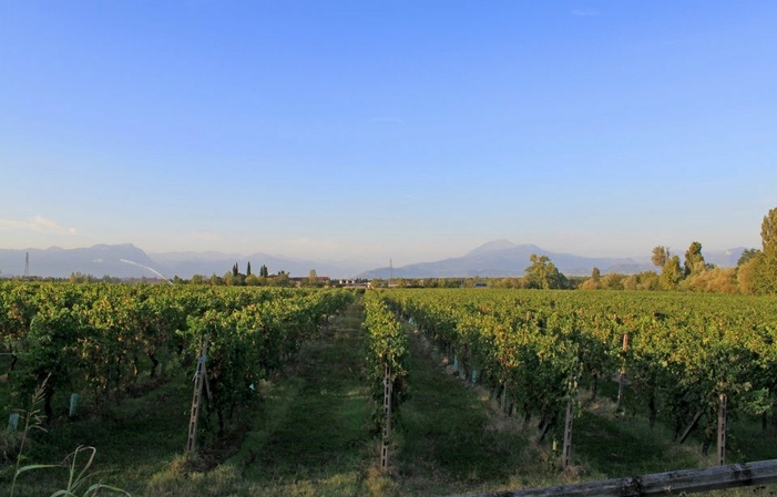 Visite du domaine cascina la crèche 1,00 €