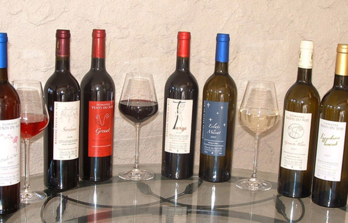 Dégustation des 7 vins naturels du Domaine blancs rosé rouges vins doux naturels avec assiette gourmande 15,00 €