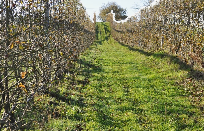 Visite et dégusutation de la distillerie du Grand Nez 1,00 €