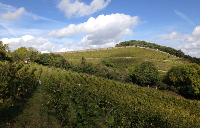 Visite Domaine de la Roche aux Moines: Coulée de Serrant 1,00 €