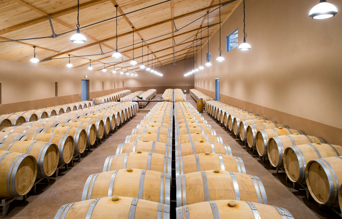 Visite-dégustation : Château d'Eyran de la vigne à la barrique 10,00 €