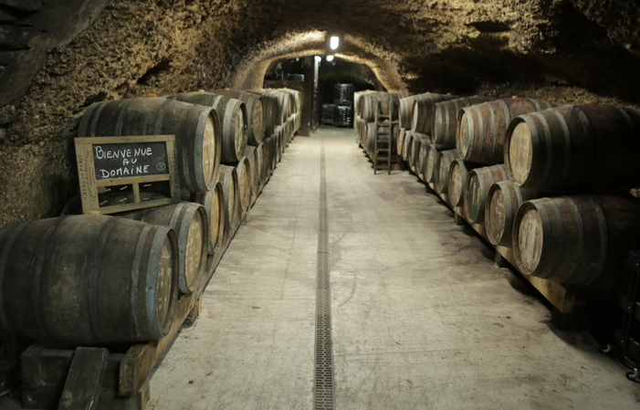 Visite domaine La Croix Mélier, Montlouis sur Loir 5,00 €