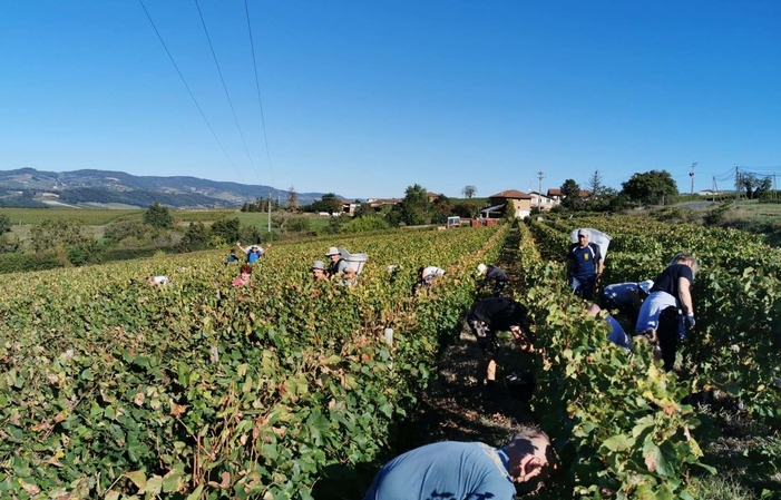 Visite Domaines Chermette 1,00 €