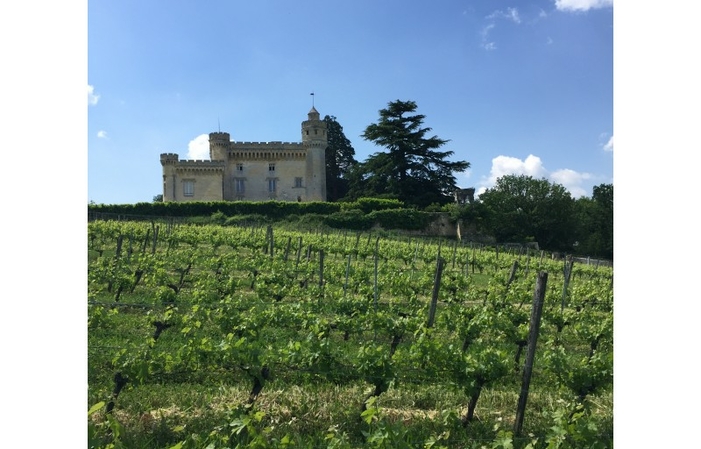 La Visite Guidée du Château de Camarsac 12,00 €