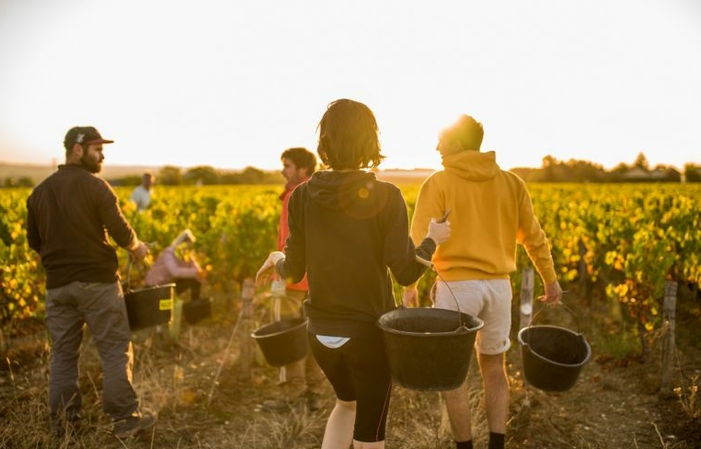 Visite et dégustation au Domaine des Marronniers à Chablis 1,00 €