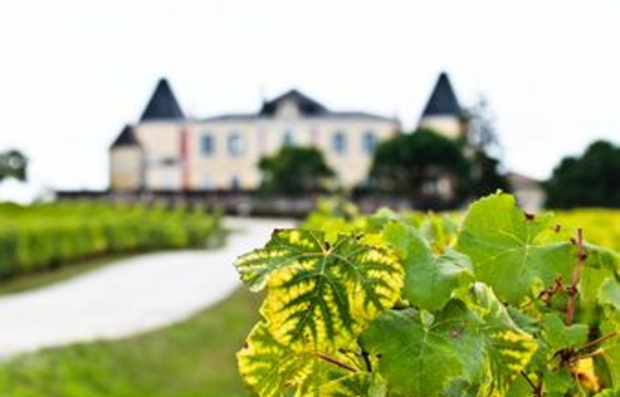 Visite et dégustations du Chateau de France Pessac Leognan 1,00 €